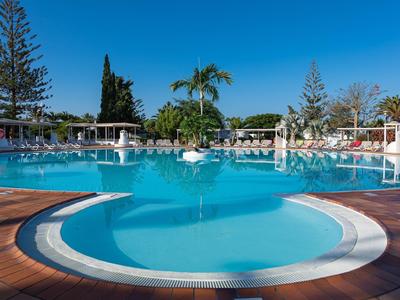 Grande piscina all'aperto circondata da lettini e palme sotto un cielo azzurro limpido.