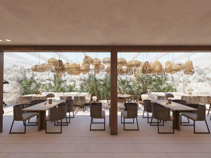 Modern restaurant met houten tafels, stoelen en decoratieve hangplanten bij de ramen.