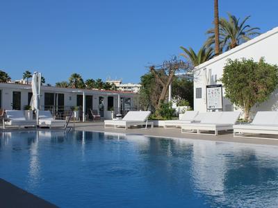 Moderne buitenzwembad met witte ligstoelen en palmbomen op een zonnige dag.