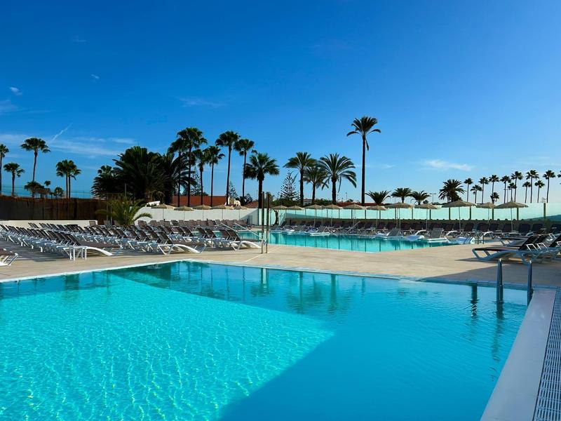 Groot buitenzwembad met ligstoelen en palmbomen onder een heldere blauwe lucht.