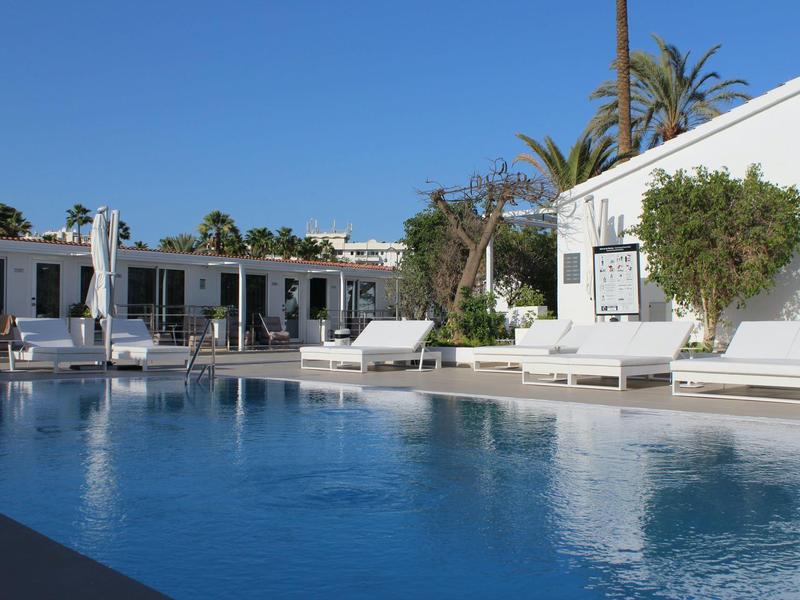 Moderne buitenzwembad met witte ligstoelen en palmbomen op een zonnige dag.