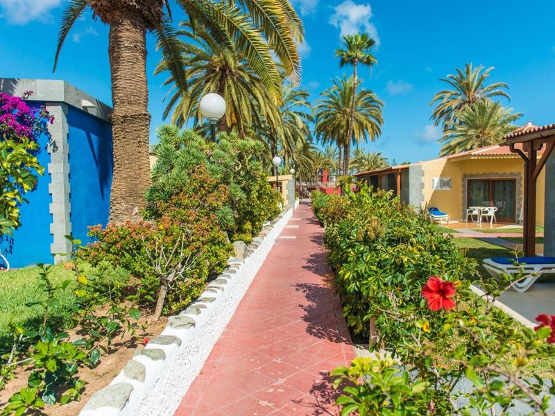 Een pad door een tropische tuin met palmbomen, bloeiende planten en zonneschijn naast kleine gebouwen.