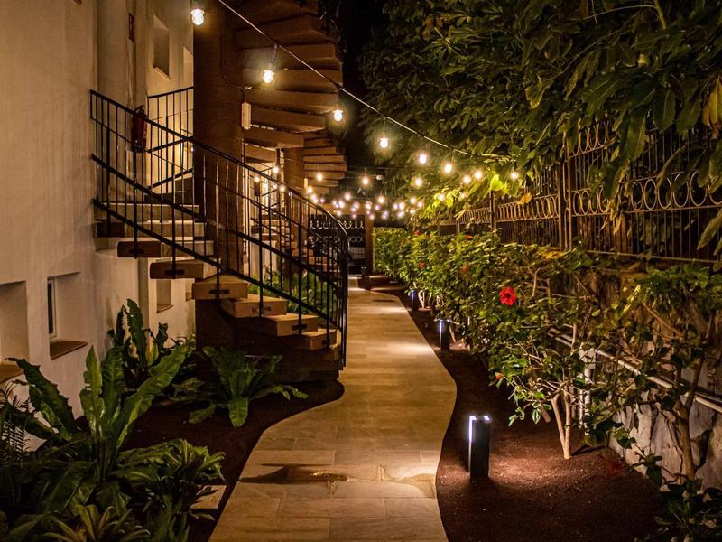 Oświetlona ścieżka w ogrodzie z roślinami i schodami obok budynku w nocy.