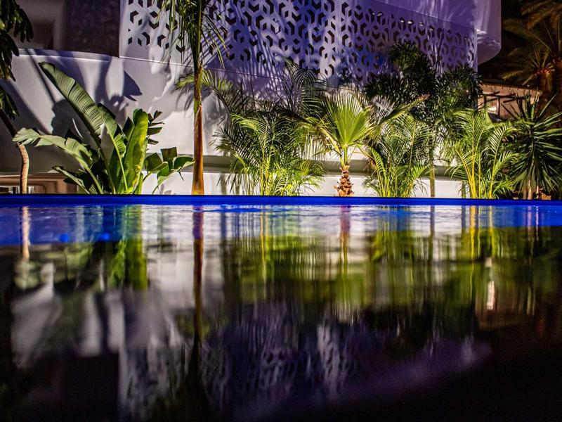 Zdjęcie nocne podświetlanego basenu z odbiciami i palmami w tle.