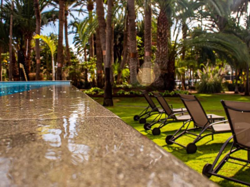 Basen z krawędzią z granitu i leżakami na zielonej trawie między palmami.