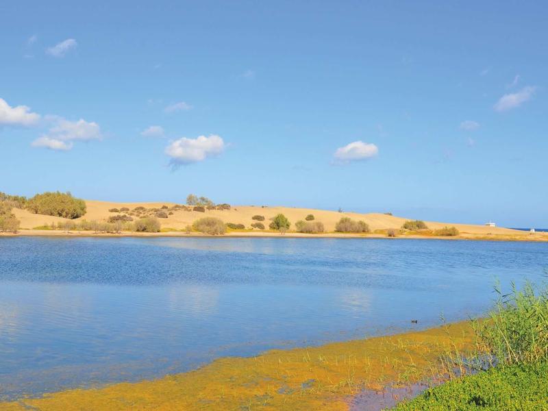 Spokojne jezioro z czystym niebem i złotymi polami w tle