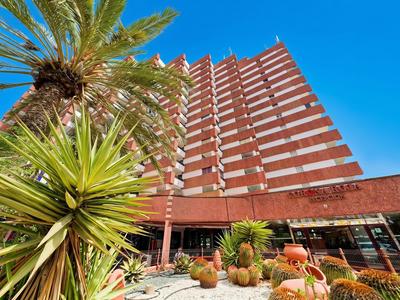 Nowoczesny wielopiętrowy hotel z brązowym zewnętrzem i palmami na pierwszym planie.