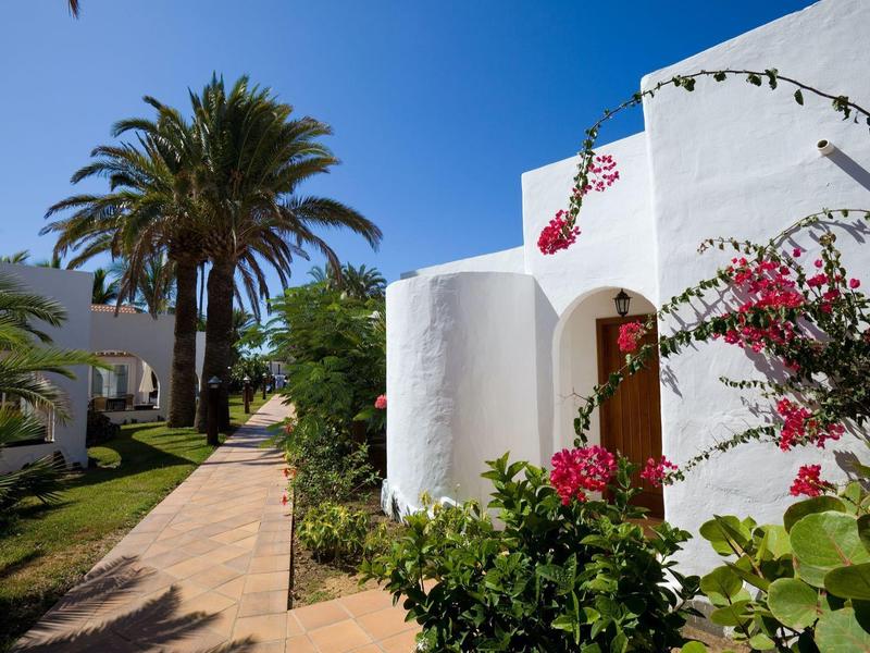 Bâtiments blanchis à la chaux avec des plantes méditerranéennes et des palmiers sous un ciel clair.