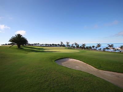 Grüner Golfplatz mit Sandbunker, Palmenreihe und blauem Himmel im Hintergrund.