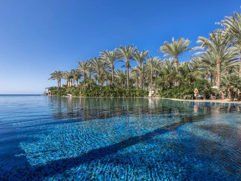 Infinity bazén s palmami a modrou oblohou u moře