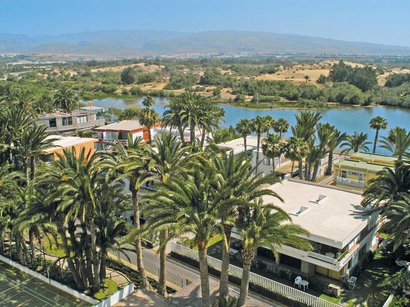 Widok na jezioro z palmami i budynkami na tle pagórkowatego krajobrazu