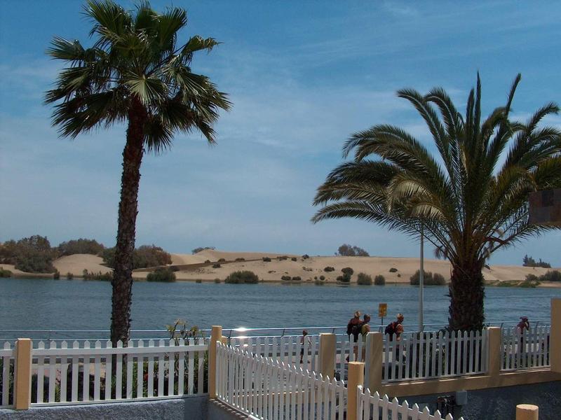 Widok na jasnoniebieskie jezioro z wydmami piaskowymi w tle i palmami na pierwszym planie.