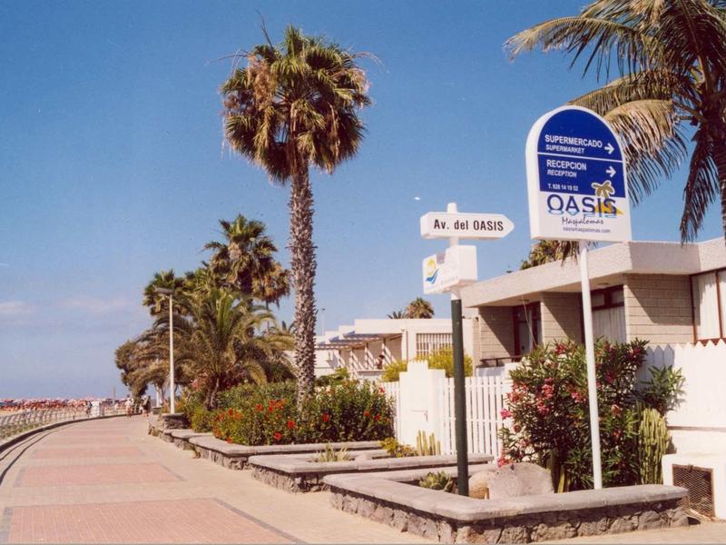 Promenada z palmami i białym budynkiem pod czystym niebem nad morzem