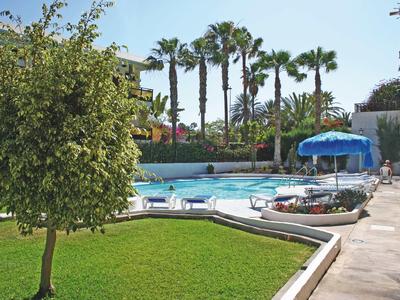 Pool mit Liegestühlen, grünem Rasen, Palmen im Hintergrund und klarem Himmel.