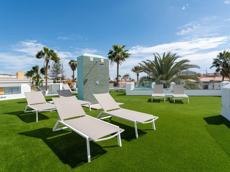 Kilka leżaków na zielonej trawie z palmami i czystym niebem.