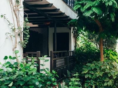Haus mit Balkon, umgeben von grünen Pflanzen, Kakteen und Büschen im Vorgarten.