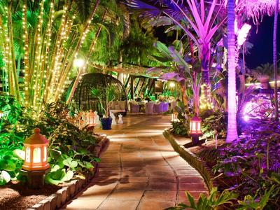 Beleuchteter Gartenweg mit bunten Lichtern, Palmen und Pflanzen in der Nacht.