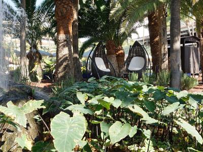 Grüner Garten mit großen Blättern, Palmen und zwei hängenden Korbsesseln im Hintergrund.