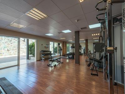 Moderner Fitnessraum mit Holzfußboden, Trainingsgeräten und großen Fenstern mit Blick ins Freie.