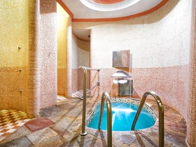 Petit jacuzzi rond avec carreaux de mosaïque dans un espace spa.