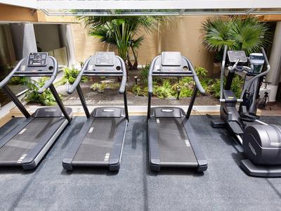 Drei Laufbänder und ein Crosstrainer in einem hellen Fitnessraum mit Pflanzen im Hintergrund.