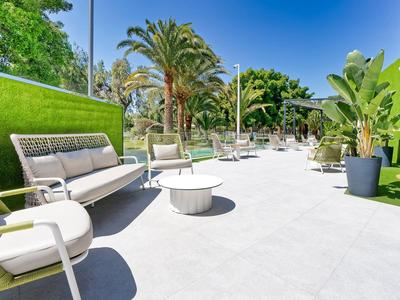 Heller Outdoorbereich mit weißen Sitzmöbeln, grünen Hecken und Palmen im Sonnenschein.