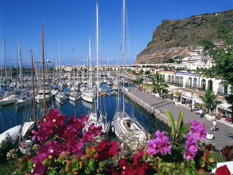 Marina with many boats, blooming flowers in the foreground, and hill in the background.