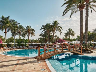 Area piscina con ponte, circondata da palme e lettini sotto un cielo azzurro.