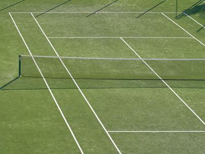 Empty tennis court with green grass and white lines under sunlight