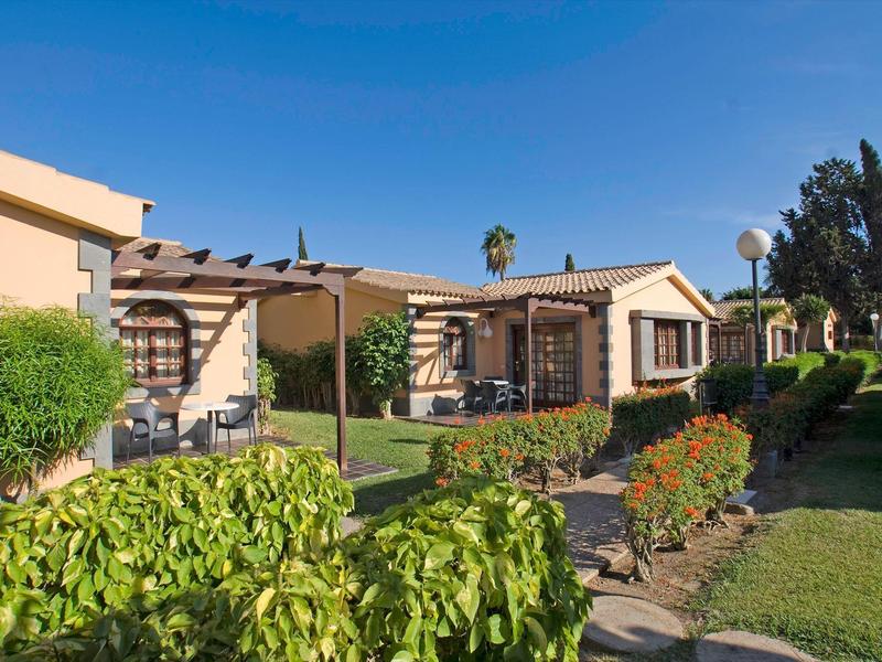Un jardin ensoleillé avec des arbustes verts et des arbres devant des maisons avec terrasses.