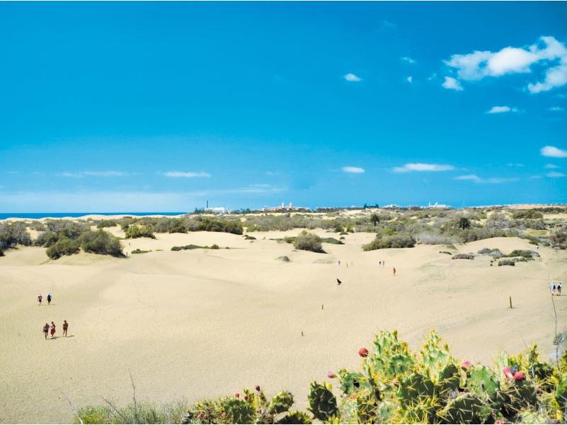 Amplias dunas de arena bajo un cielo azul con algunas personas dispersas y vegetación en primer plano.