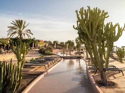 Jardin d'hôtel ensoleillé avec des sentiers sablonneux, des palmiers et de grands cactus sous un ciel bleu.