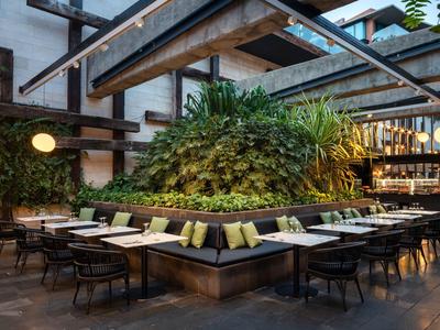 Intérieur d'hôtel moderne avec verdure et espaces de sièges sous lumière naturelle.