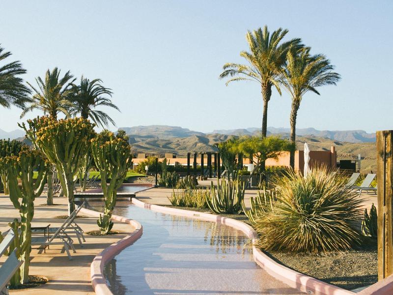 Eine Oase in der Wüste mit Palmen, Kakteen und einem wassergefüllten Kanal bei klarem Himmel.