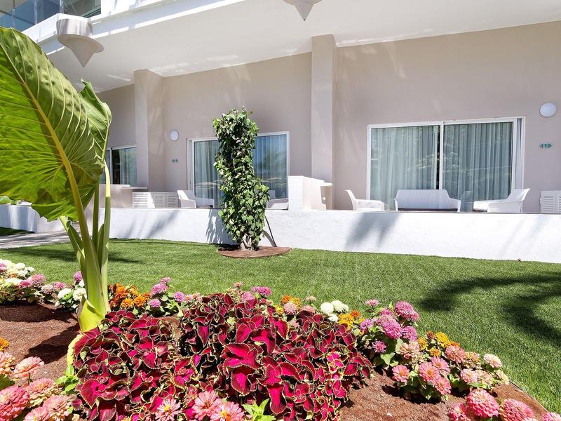 Haus mit großen Fenstern, davor bunter Blumenbeet und grünem Gras unter hellem Sonnenlicht.