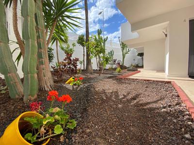 Vista de un jardín con cactus y flores junto a una terraza de un edificio blanco.