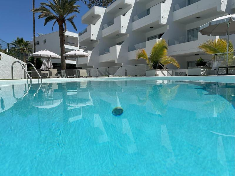 Moderner Hotelpool mit klar blauem Wasser, weißen Liegestühlen und Palmen im Sonnenschein.