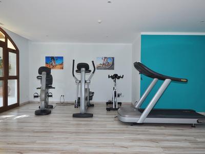 Moderner Fitnessraum mit großem Fenster, hellen Holzboden und Geräten in Grau und Schwarz.