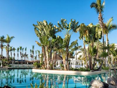 Großer Pool mit Palmen und Pflanzen, blauer Himmel, Sonnenschirme und Sitzbereiche im Hintergrund.