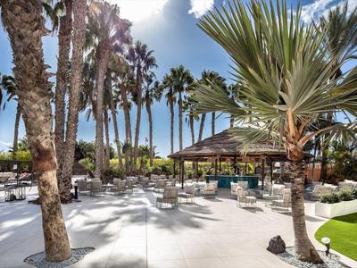 Jasná oblast bazénu s palmami a slunečníky pod modrou oblohou