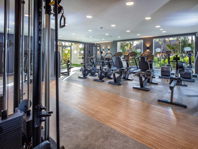 Moderní fitness centrum s různými stroji a velkými okny s výhledem na zeleň.