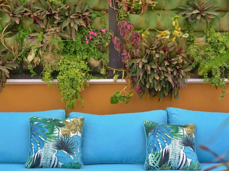 Banc avec coussins bleus devant un mur orange avec des plantes suspendues.