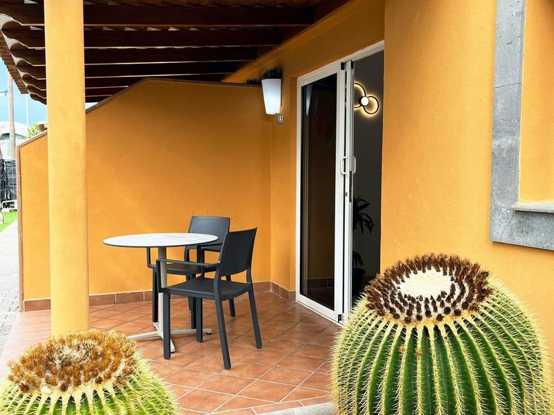 Espace terrasse couvert avec table, chaises et grands cactus ronds à proximité.