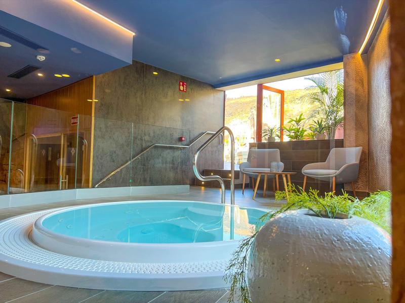 Indoor round jacuzzi with seating and large window with plants outside.