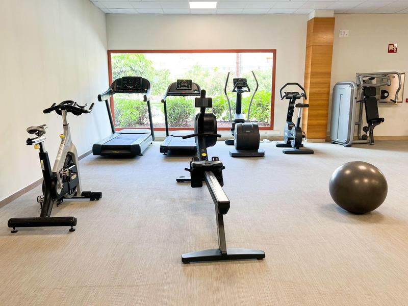 Well-equipped gym with treadmill, exercise bike, rowing machine, and stability ball, bright windows.