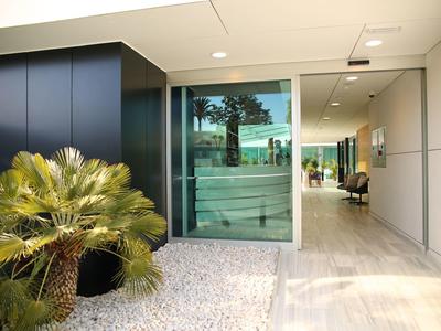 Moderner Hauseingang mit Glasfront, großen Pflanzen und heller Steinterrasse.