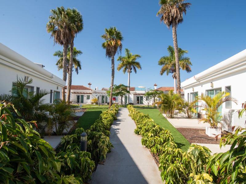 Cortile con palme, piante verdi e edifici dipinti di bianco sotto un cielo azzurro limpido.