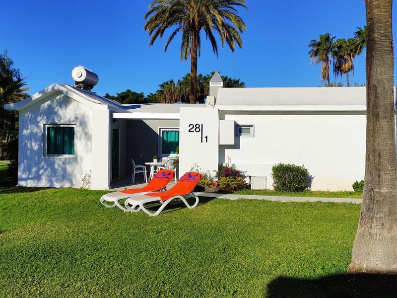 Biały domek wakacyjny z czerwonymi leżakami na zielonym trawniku i palmami w tle.