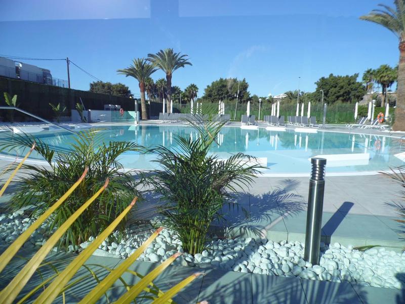 Okrągły basen z palmami i gładką wodą pod jasnym niebieskim niebem.