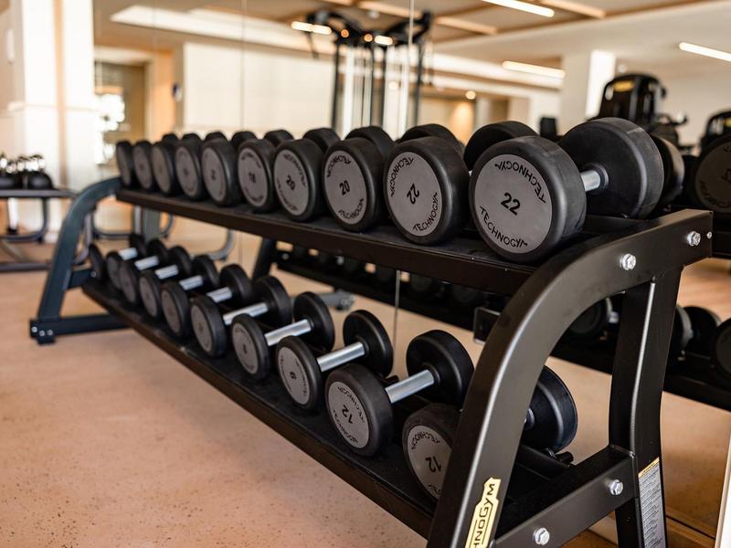 Due file di manubri in una palestra ben illuminata con dettagli in legno e vetro.